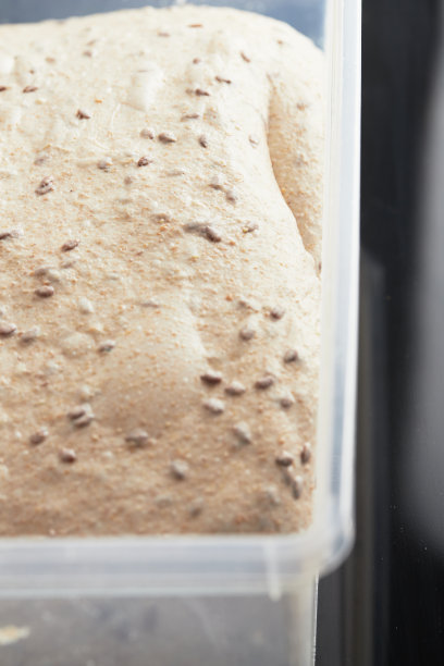 面团在容器中。亚麻籽面包。含谷物的健康全麦面包的概念。图片下载