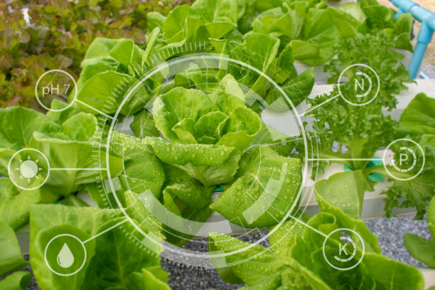 智能农业理念与现代科技。图片下载