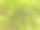 绿色的苔藓覆盖在石头上图片下载