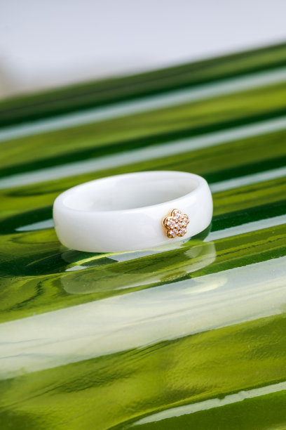 陶瓷环的组成图片下载