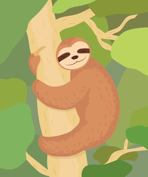 可爱的树懒坐在树上。图片下载