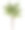 热带植物图标图片下载