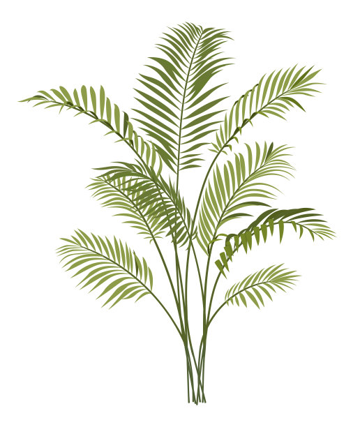 热带植物图标图片下载