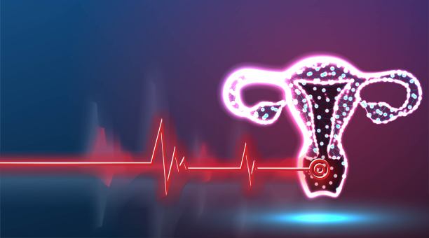 摘要女性子宫和卵巢的科学背景，生殖器官的疾病点。健康医学理念。摘要低聚线框网格设计图片下载