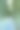 凉爽的夏季竹林长满了蓝色图片下载