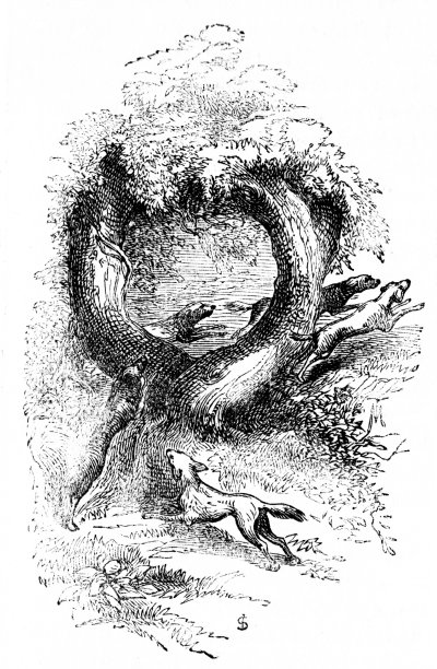 字母Q为鹌鹑狗猎人图片下载