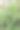 温室里有各种各样的绿色植物。在春天种植作物的概念。图片下载