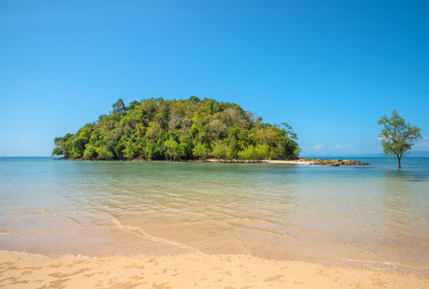 曼谷湄南河俯瞰图图片下载
