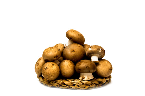 白色背景下的蘑菇图片下载