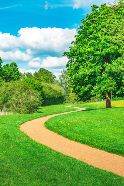 公园里的碎石小径图片下载