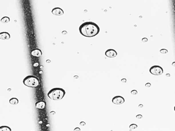 飞溅的雨图片下载