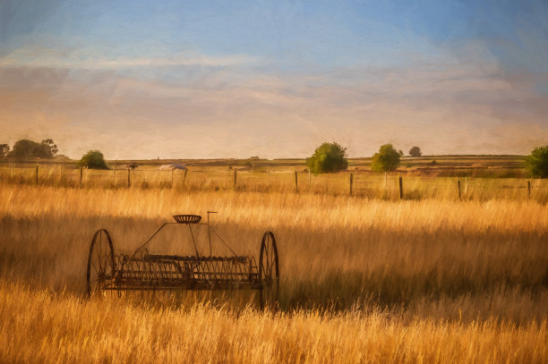 数码绘画的一个古董干草耙在农民田间在日落。图片下载