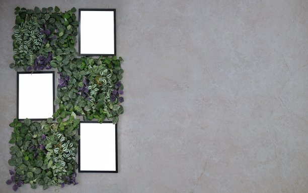 空相框和绿色植物在阁楼墙上的复制空间的图形显示蒙太奇。图片下载