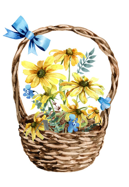 带野花的柳条篮子。田野花束蓝色花，黄色洋甘菊花，绿叶。手绘水彩在白色的背景。图片下载
