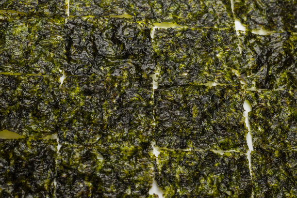 美味的海苔孤立在白色。图片下载