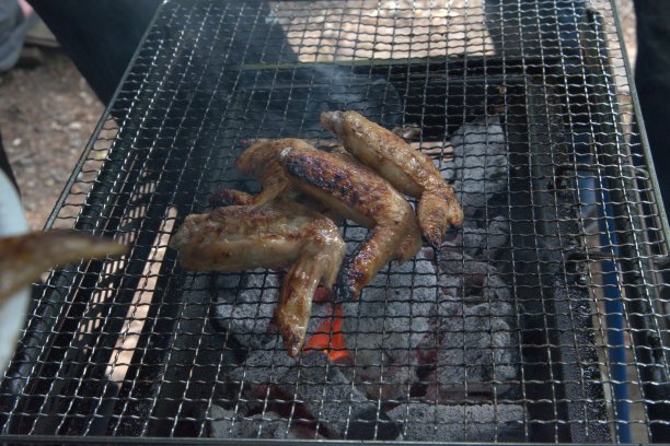 烧烤鸡翅蔬菜香肠蘑菇图片下载