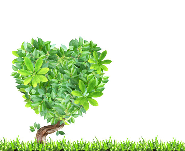 树与心形和草。自然的爱。生态零浪费理念图片下载