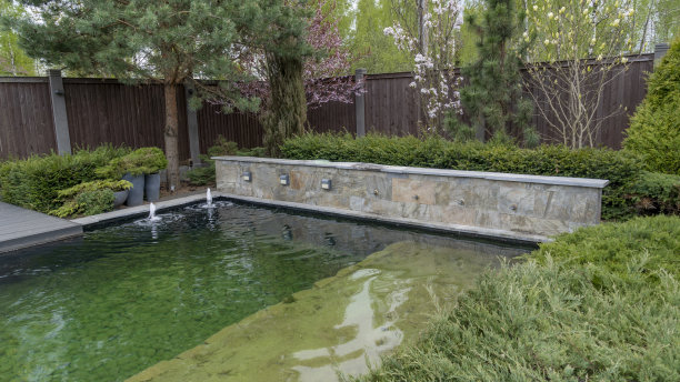 园林设计中的池塘。后院景观设计。小池塘，修剪过的灌木丛和小喷泉。图片下载