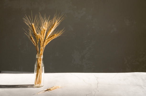 一束小麦小穗在阳光下的瓶子，坚硬的阴影。图片下载