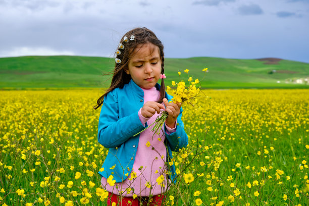 一个小女孩正在摘黄花图片下载