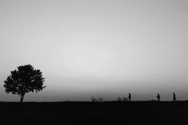 树的轮廓图片下载