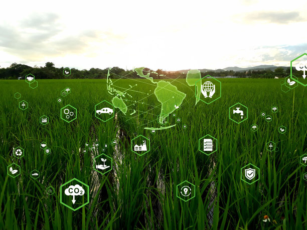 稻田与环境图标图片下载