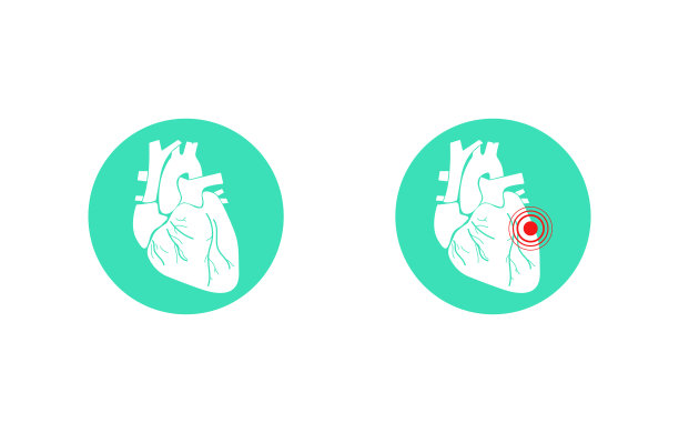 心脏器官医学设计插图。矢量图标。图片下载