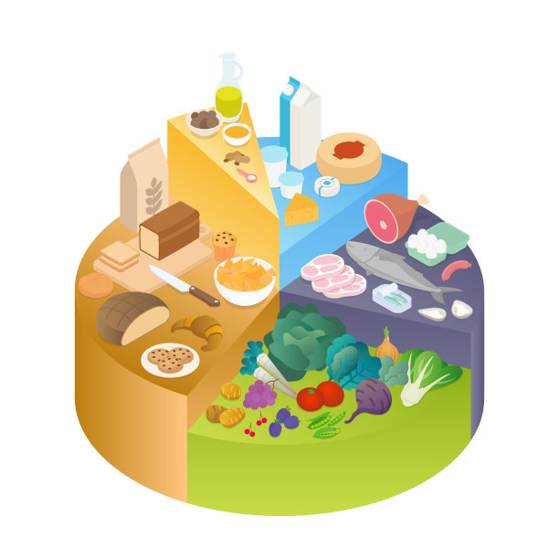 等长食物金字塔，蔬菜，水果，谷物，奶制品和肉类。矢量图,图表,图片下载