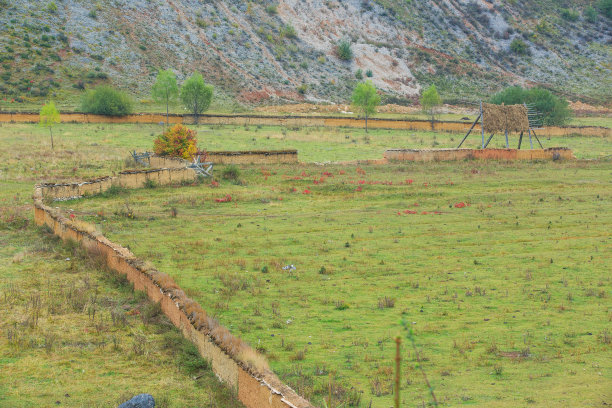 中国云南的高原牧场风景和草原，图片下载