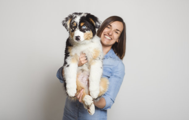 英俊的女性和她的澳大利亚伯杰小狗在工作室图片下载