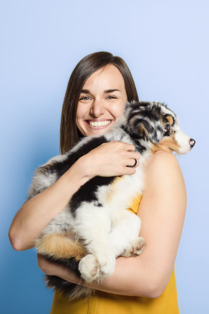 英俊的女性与她的澳大利亚伯杰小狗在工作室蓝色的背景图片下载