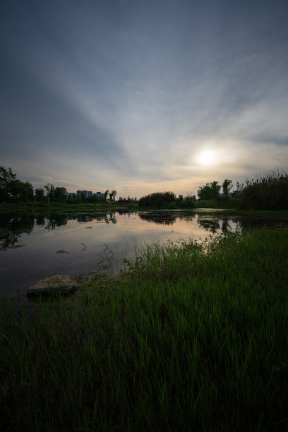 黄昏时河边的树木图片下载