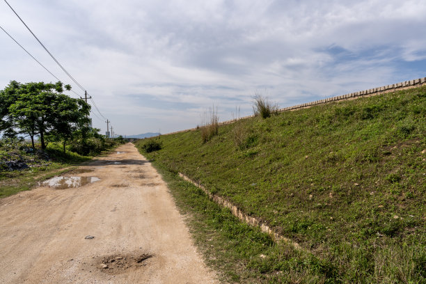 乡间一条土路，路旁种着绿色植物图片下载