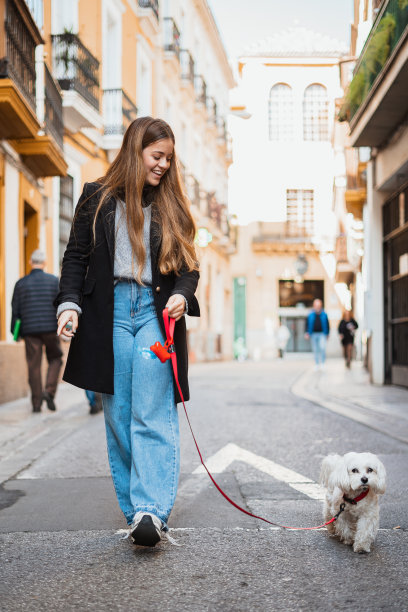 女孩和她可爱的小狗散步图片下载