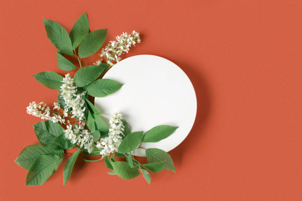 产品展示平台。抽象最小几何形式的红橙色背景。一石形影，白色花朵，柔和阴影。现场,展示,显示。最小的设计。俯视图，平面布局。图片下载