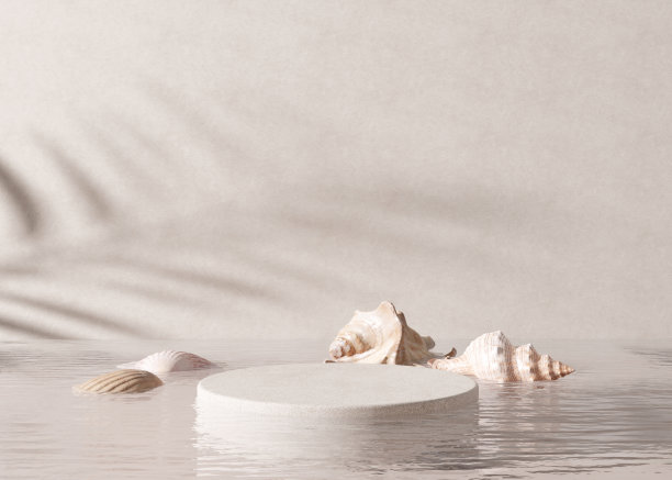 讲台矗立在水中，有棕榈的影子和海的贝壳。美丽的模拟产品，化妆品的介绍。美容产品的底座或平台。空的场景,舞台。3 d渲染。图片下载