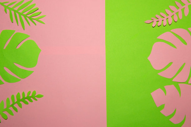 粉色部分的背景用绿叶搭配，绿色部分的背景用粉色的绿叶搭配，复制空间，创意热带现代设计图片下载