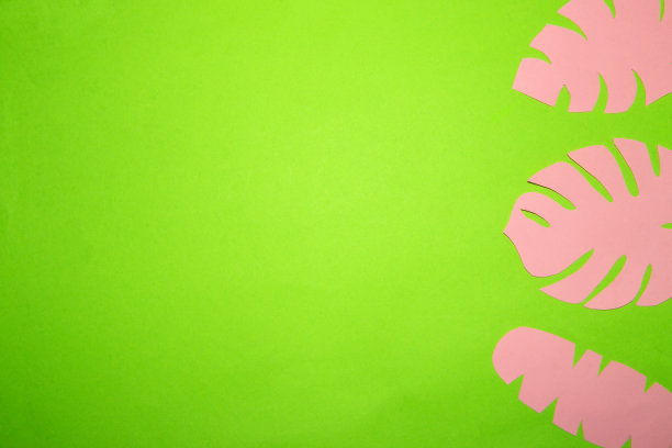 粉红色的丛林树叶在绿色的热带背景的右边，一个创造性的夏季设计图片下载