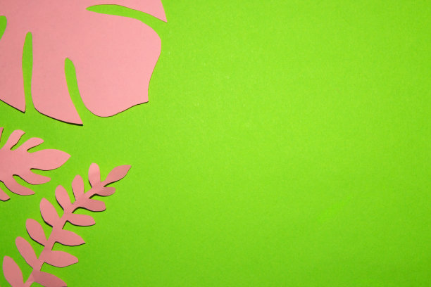 粉红色的丛林树叶在左侧以绿色的热带为背景，创意的夏季设计，时髦的颜色图片下载