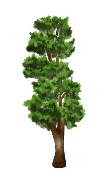 水彩画的背景风景多雾的森林，冬天的小山。野生自然。水彩树图片下载