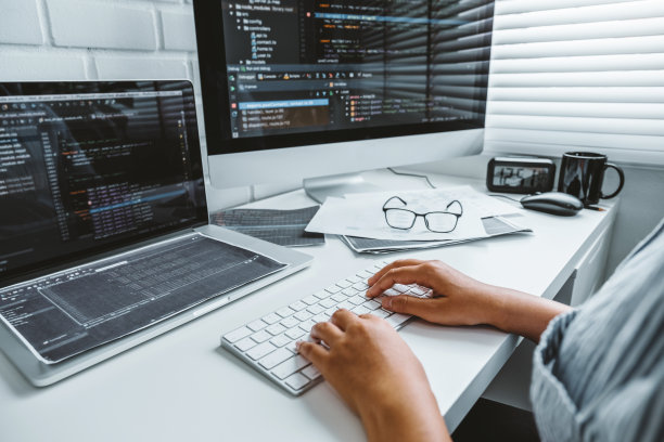 程序员在软件公司办公室开发网站设计和编码技术图片下载