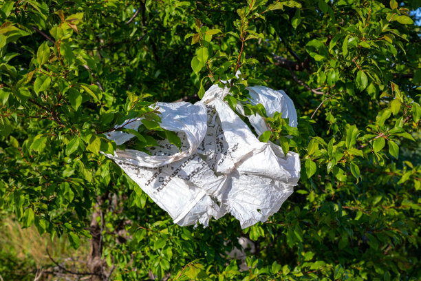 一个粘在灌木丛和树木树枝上的塑料袋。地球上的生态问题。图片下载