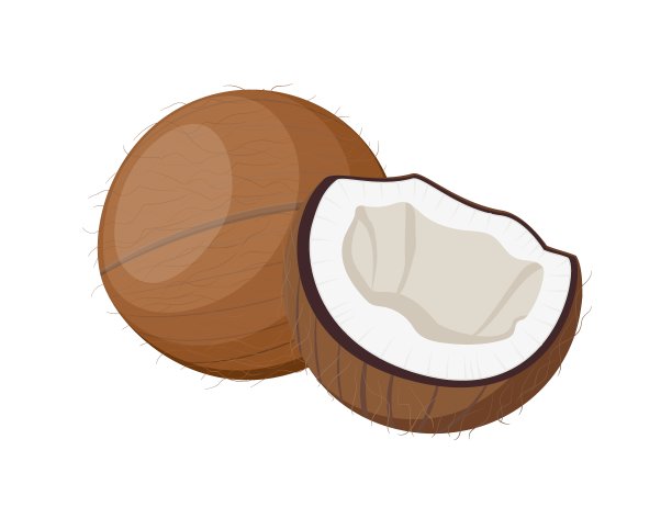 椰子整个一半分裂，平面风格矢量插图孤立在白色背景图片下载