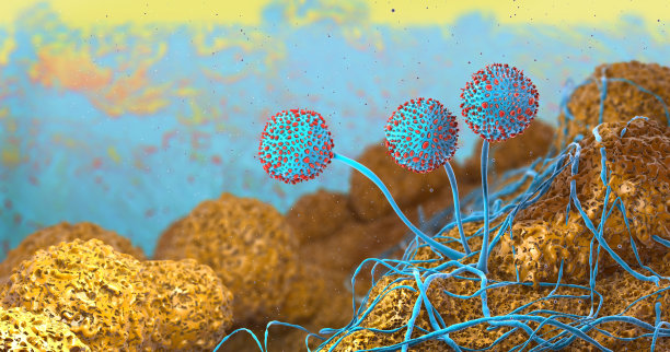 生长霉菌的显微特写- 3d插图图片下载