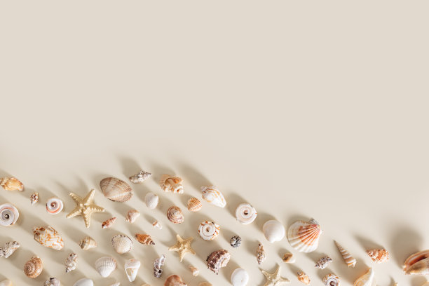 海贝和海星与阴影米色粉彩背景在阳光。暑假的概念。航海和海洋生活主题。最小的顶视图与自然贝壳，海星，石头。图片下载