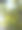 在希腊伊维亚岛的树枝上的杏仁水果特写图片下载