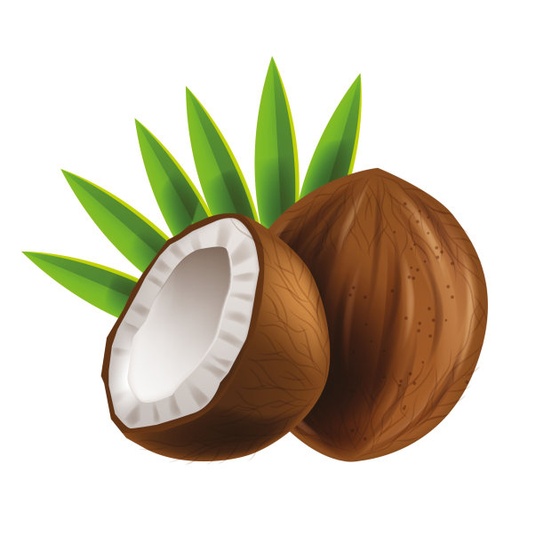 椰子矢量插图，切椰子热带水果坚果图标，整个现实的棕色植物，绿色的叶子。图片下载