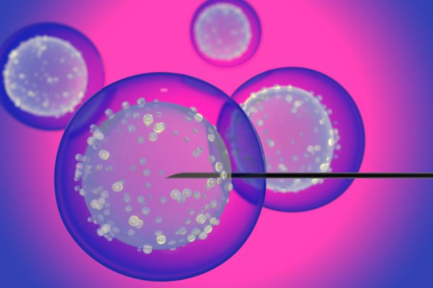 人工授精的概念。注射器穿透红色背景上的细胞。3 d渲染。图片下载