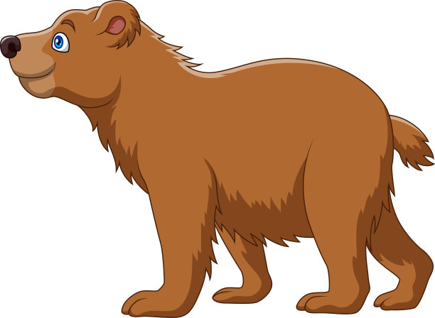 卡通短脸熊在白色背景图片下载