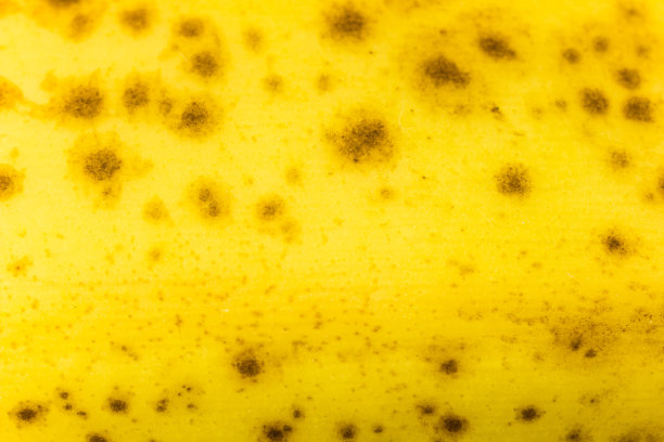 香蕉皮特写。成熟的香蕉皮纹理背景。香蕉宏观照片。热带水果皮壁纸图片下载